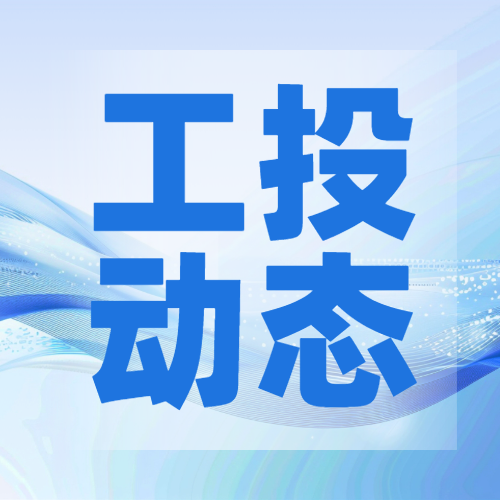 大抓项目增投资 实干担当开新局